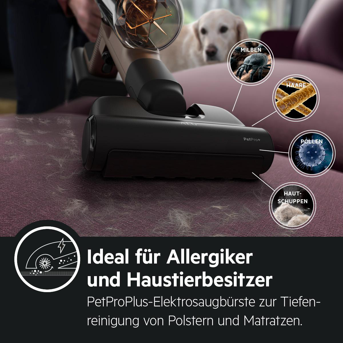 Staubsauger mit PetPro+-Etikett, Hund und Bildern von Allergenen.