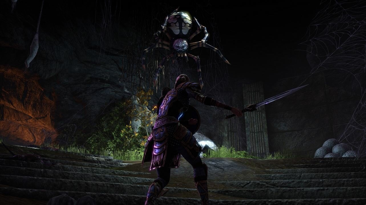 Gra PS4 The Elder Scrolls Online: Tamriel Unlimited