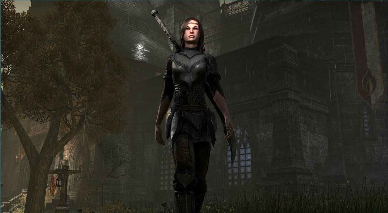 Gra PS4 The Elder Scrolls Online: Tamriel Unlimited