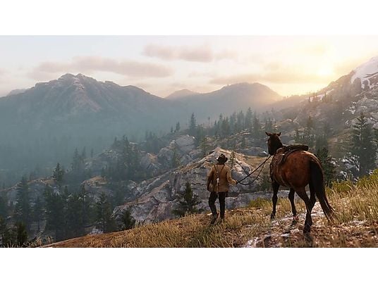 Gra Xbox One Red Dead Redemption 2