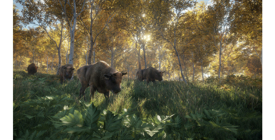 Gra PS4 theHunter: Call of the Wild