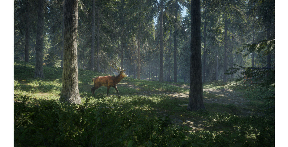 Gra PS4 theHunter: Call of the Wild