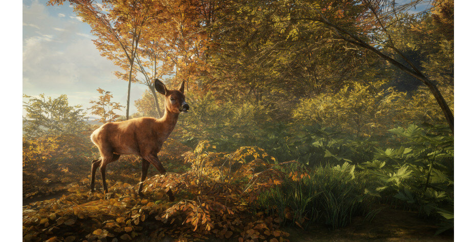 Gra PS4 theHunter: Call of the Wild