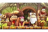 Gra Nintendo Switch Donkey Kong Country: Tropical Freeze Selects