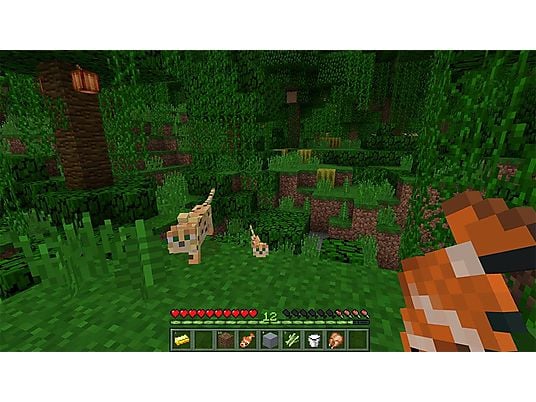 Gra Nintendo Switch Minecraft: Nintendo Switch Edition