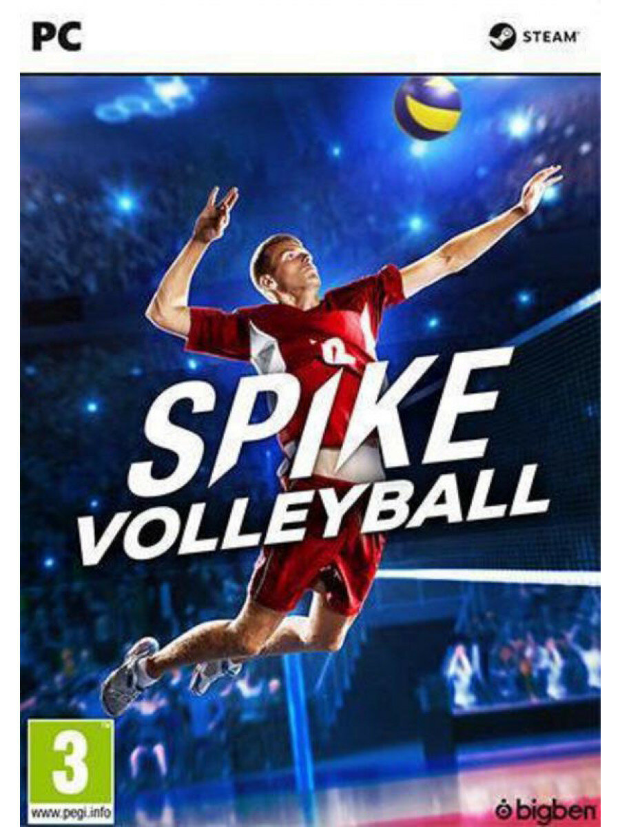 Gra PC SPIKE Volleyball