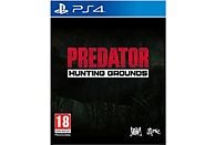 Gra PS4 Predator: Hunting Grounds (Kompatybilna z PS5)