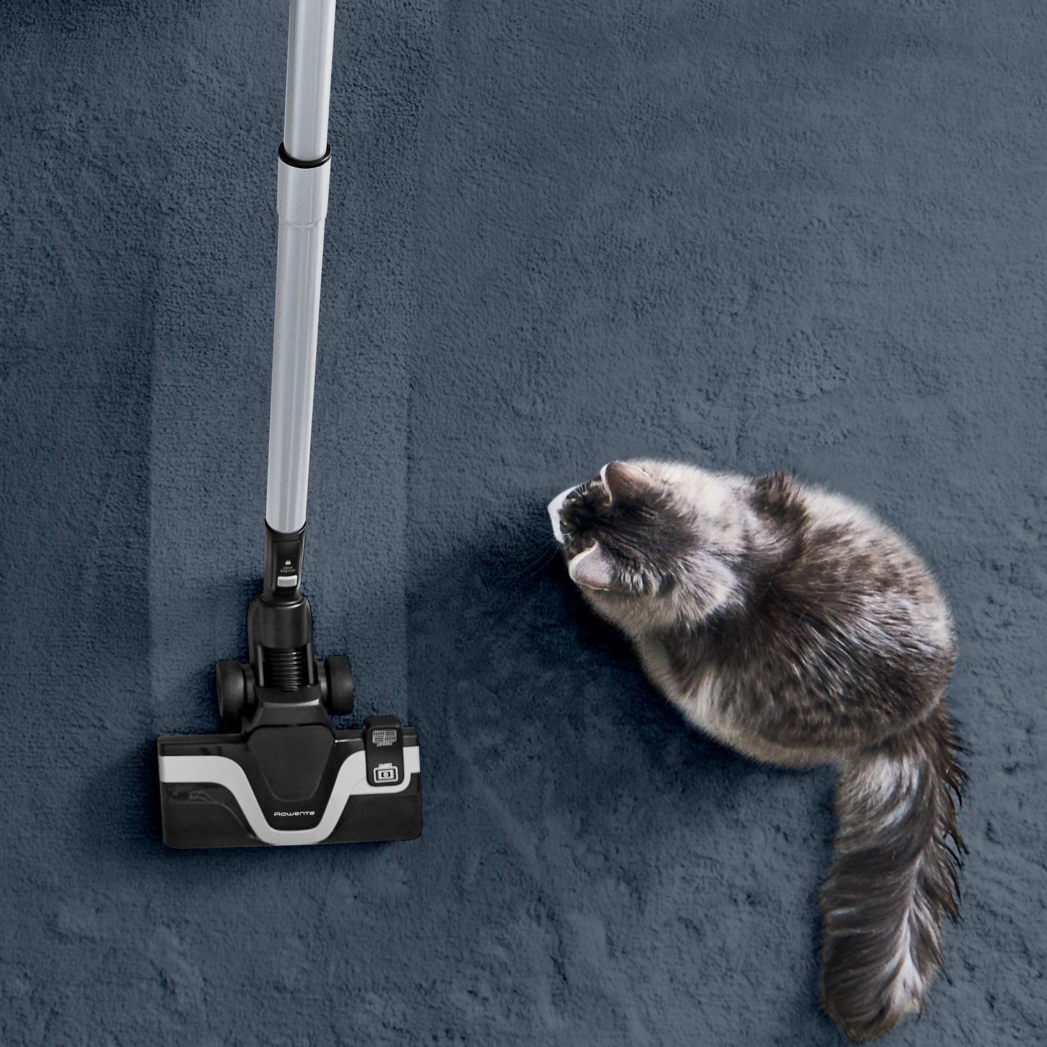Bovenaanzicht van een stofzuiger op een blauw tapijt en een kat die ernaar kijkt.