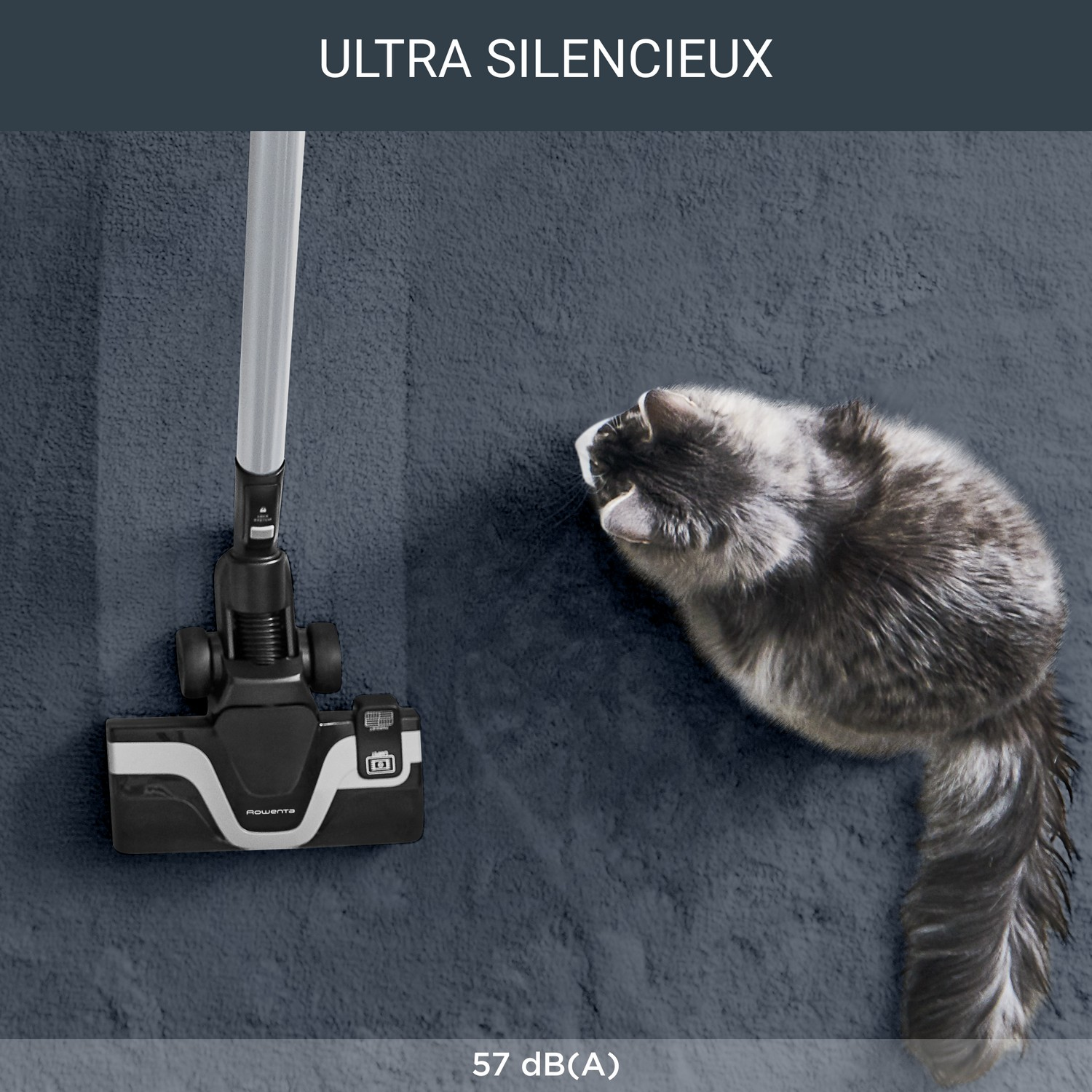 Un aspirateur sur un tapis bleu, avec un chat qui le regarde.