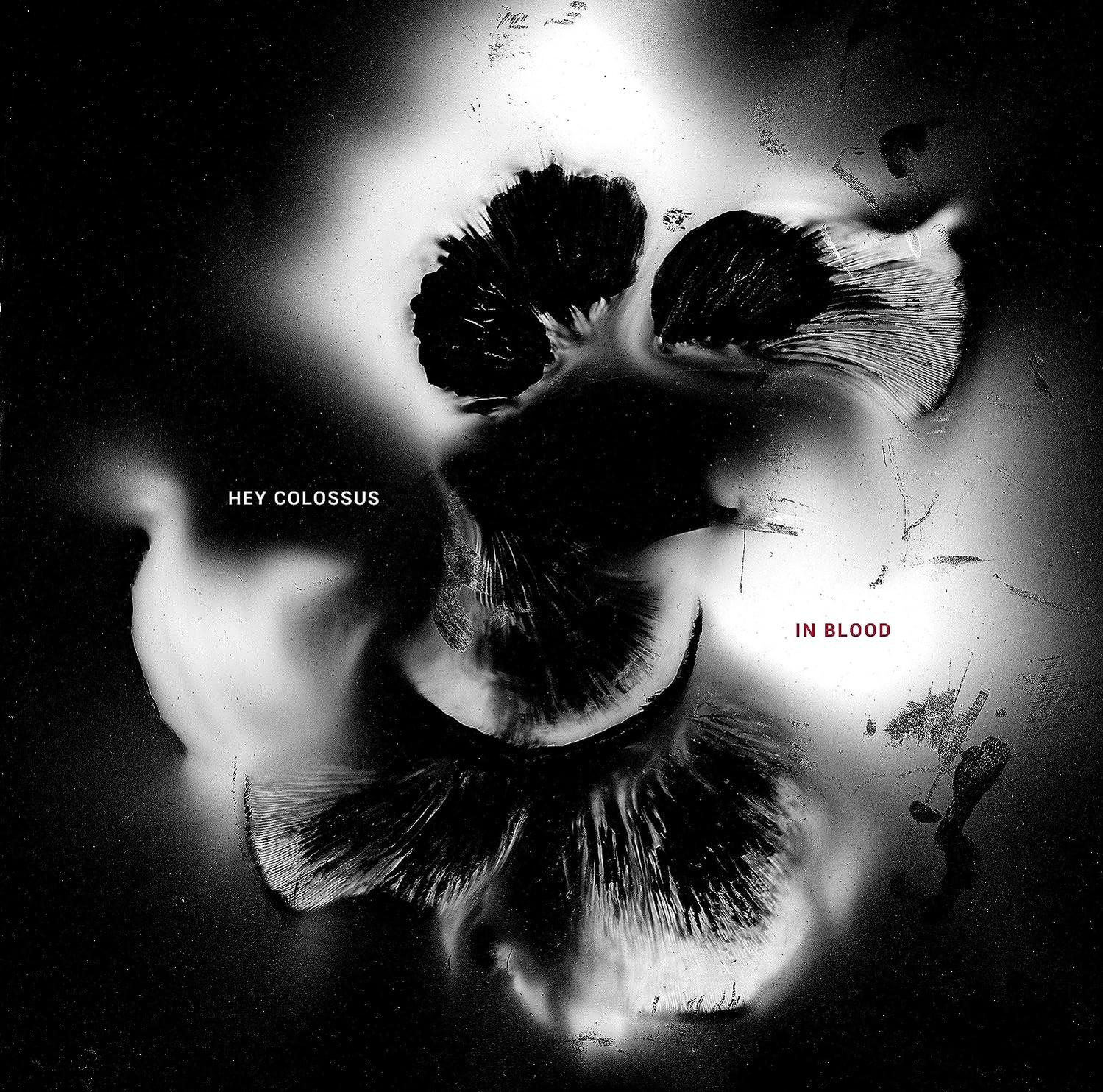 Albumcover für Hey Colossus' 'In Blood'. Schwarz-weiß-Abstraktbild von sich ausbreitender Tinte.