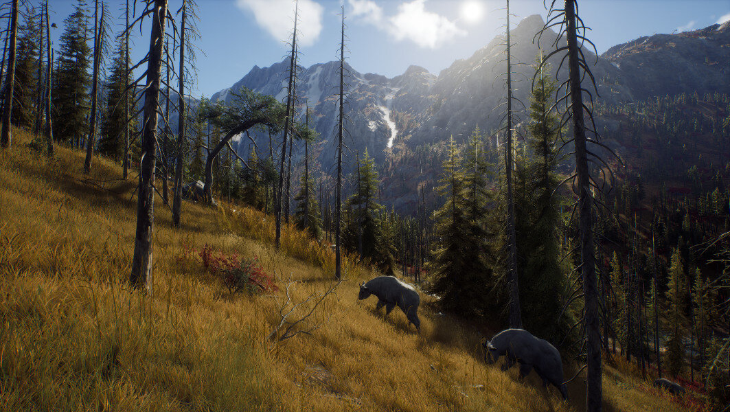 Gra PS5 Way of the Hunter