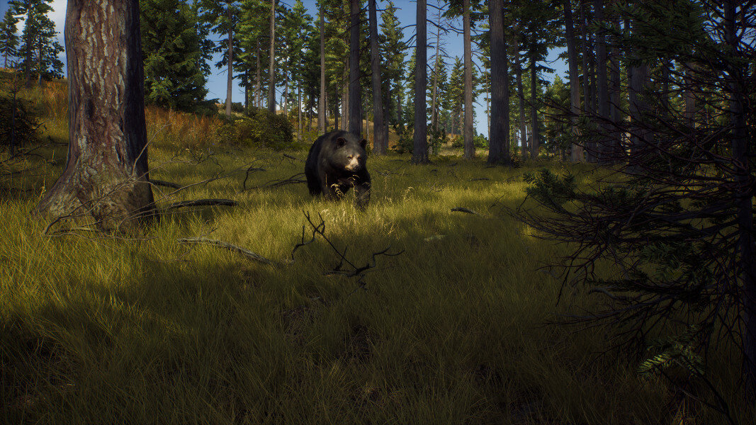 Gra PS5 Way of the Hunter