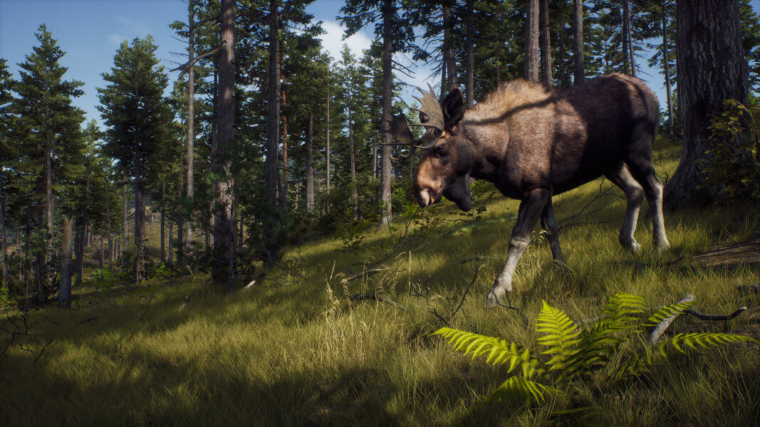 Gra PS5 Way of the Hunter