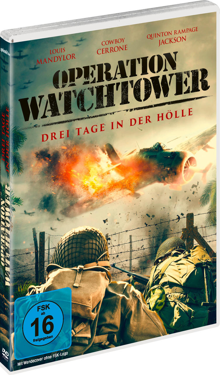 DVD-Cover mit einem Kriegsfilmtitel, mit einem Kampfflugzeug am Himmel und Soldaten.