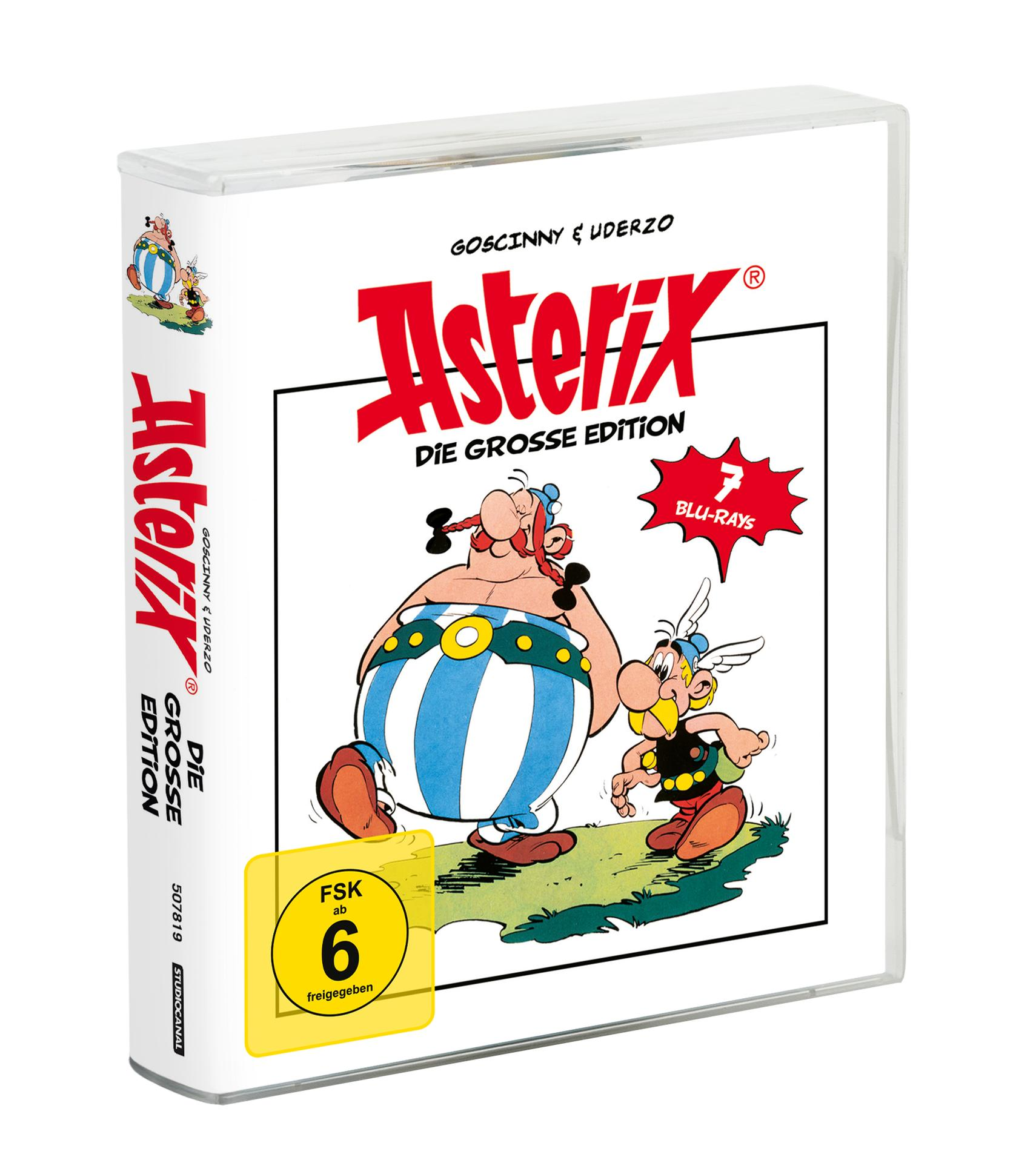 Asterix DVD-Hülle mit einer Cartoon-Zeichnung von Asterix und Obelix auf dem Cover.