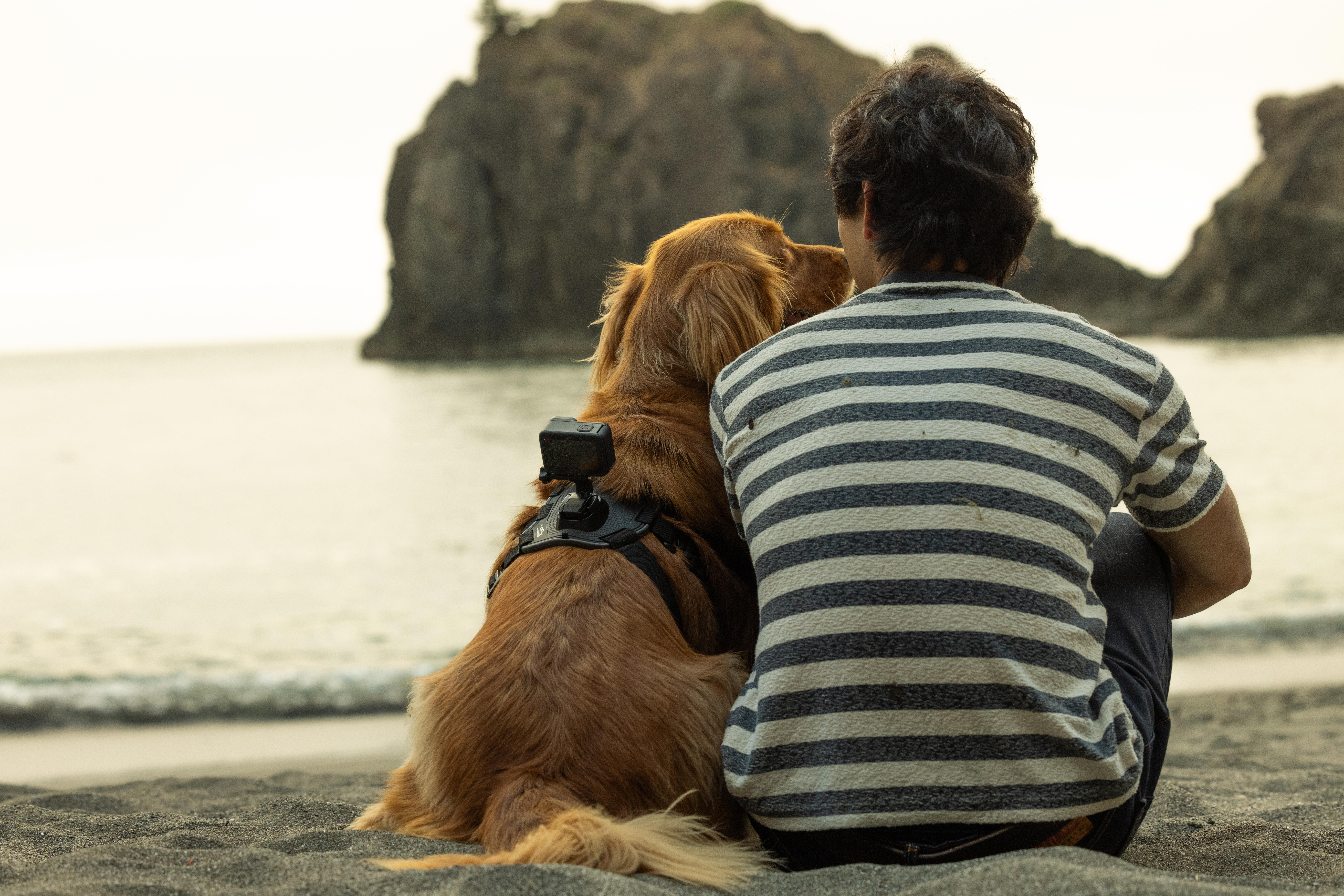 Mann und Hund sitzen am Strand, Mann trägt gestreiftes Hemd, Hund mit Kamera.