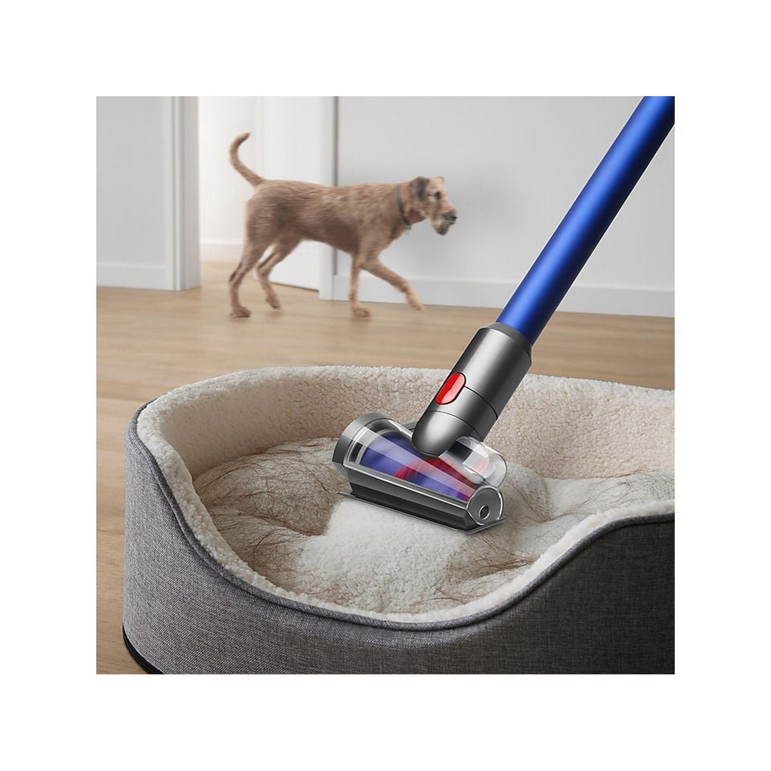 Een hondenmand die wordt gestofzuigd. Een hond loopt op de achtergrond.