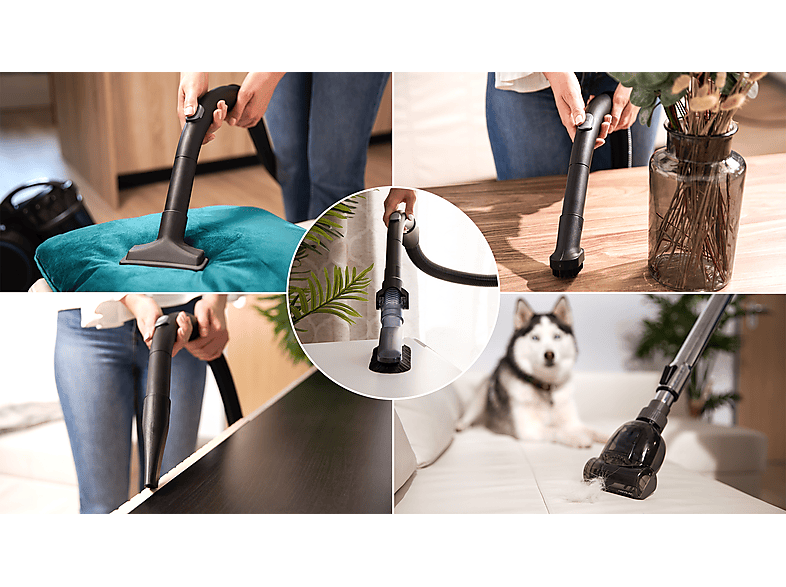 Cecotec Conga Rockstar Multicyclonic XL Animal Plus Aspirador de Trineo Multiciclónico sin Bolsa 800W 4L