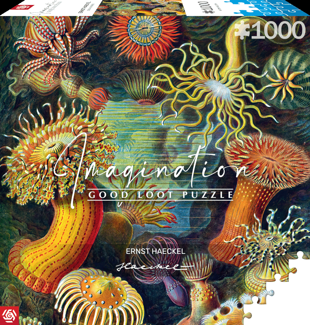Imagination: Ernst Haeckel - Sea Anemones 1000 db-os puzzle