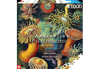 Imagination: Ernst Haeckel - Sea Anemones 1000 db-os puzzle
