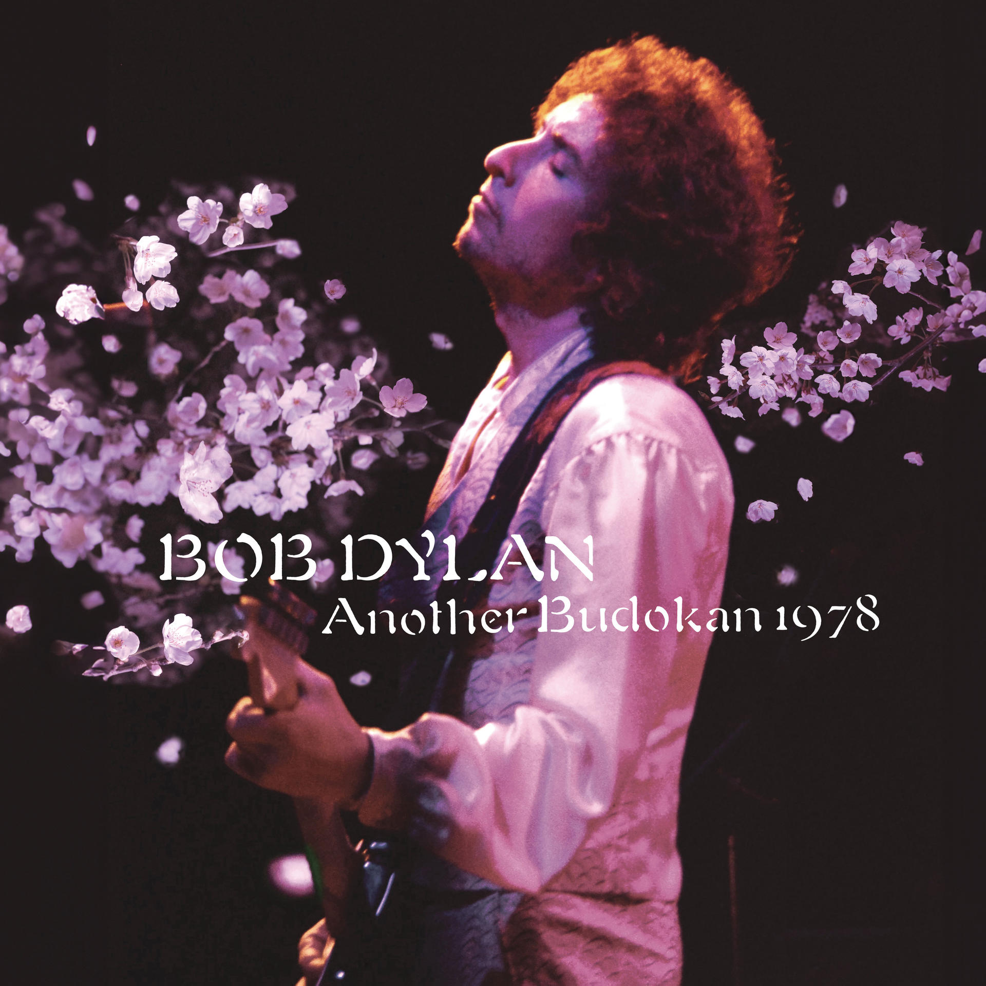 Bob Dylan - Another Budokan (Vinyl) 1978 