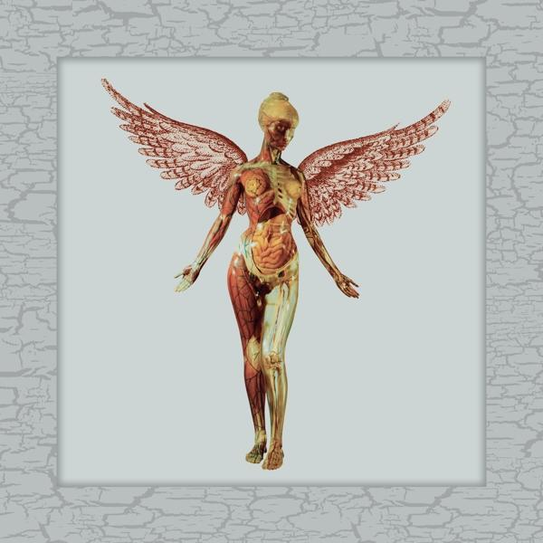 Albumcover von Nirvanas In Utero. Ein Bild der menschlichen Anatomie mit Flügeln und hellem Hintergrund.
