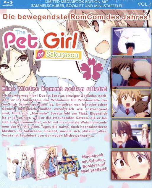 Ein Manga-Buchcover mit Zeichentrickfiguren. Text in Japanisch und Englisch. Mehrere kleinere Bilder sind auf dem Cover.