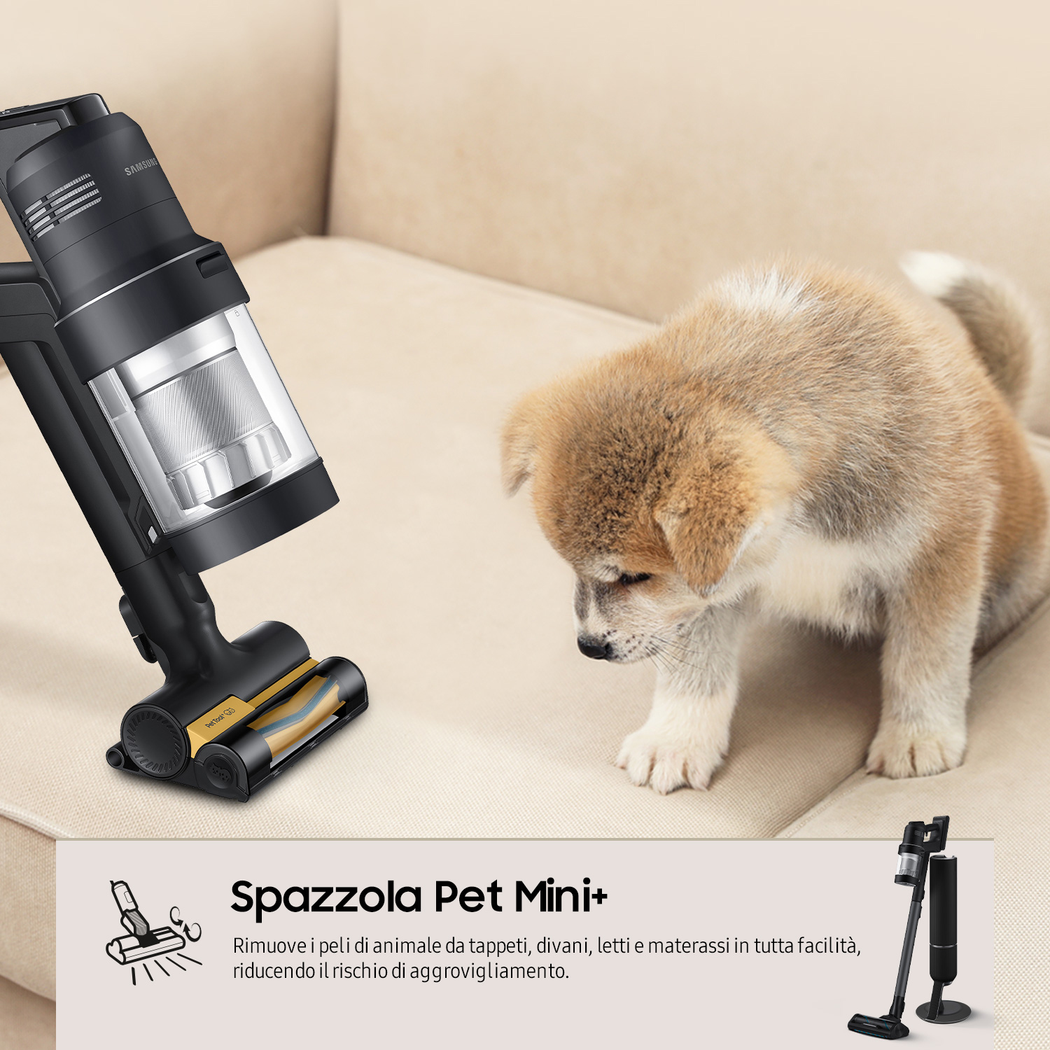 Un aspirapolvere nero e giallo pulisce un divano beige. Un cucciolo guarda.