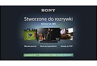 Telewizor OLED SONY XR-77A95L 77'' 4K 100/120Hz Google TV XR Clear Image
