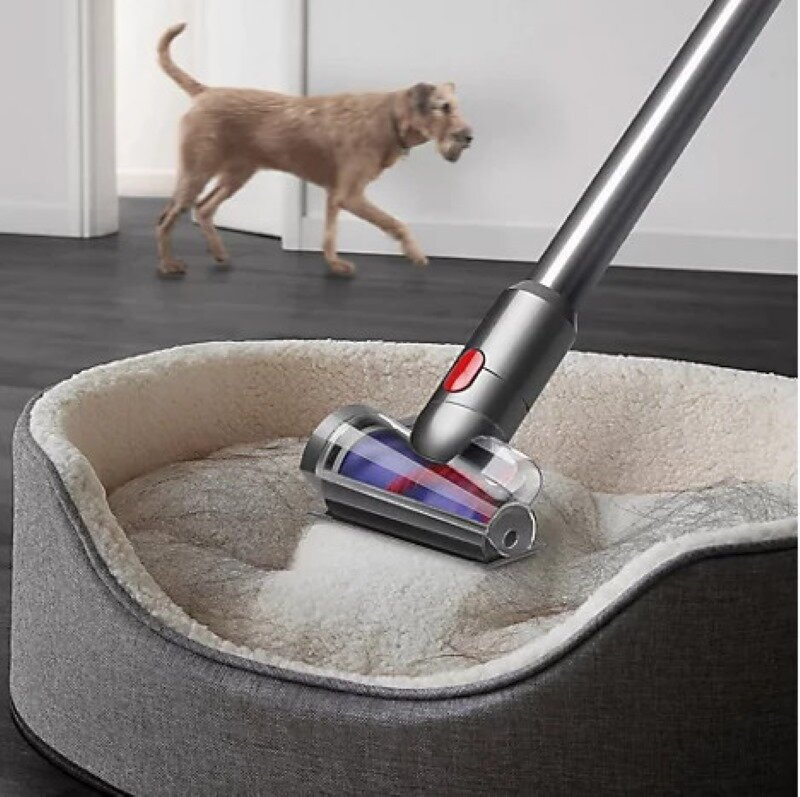 Głowica odkurzacza czyszcząca legowisko dla psa, pies w tle.