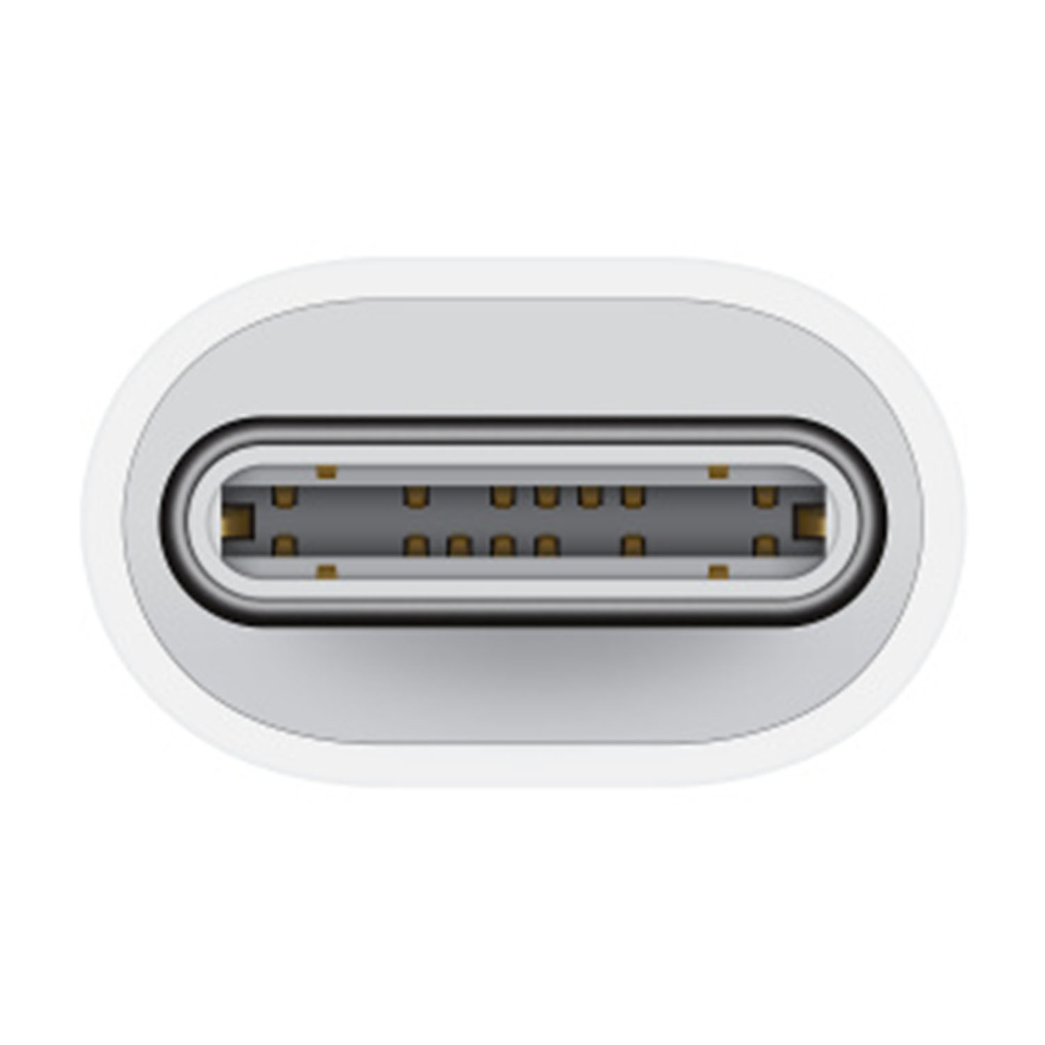Estremità del connettore USB-C bianca. 12 pin dorati visibili all'interno.