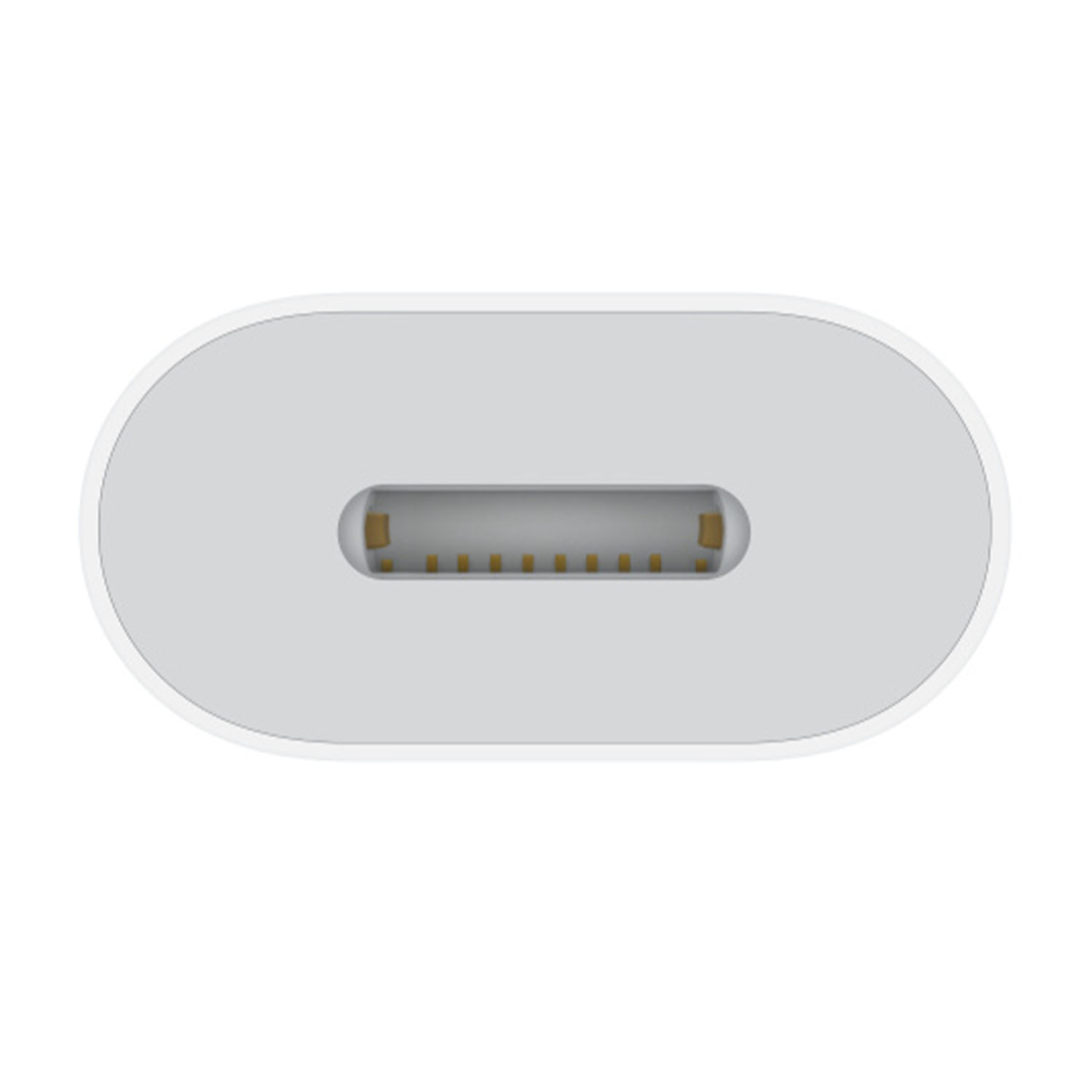 Estremità del connettore USB-C bianca. 11 pin dorati visibili all'interno.