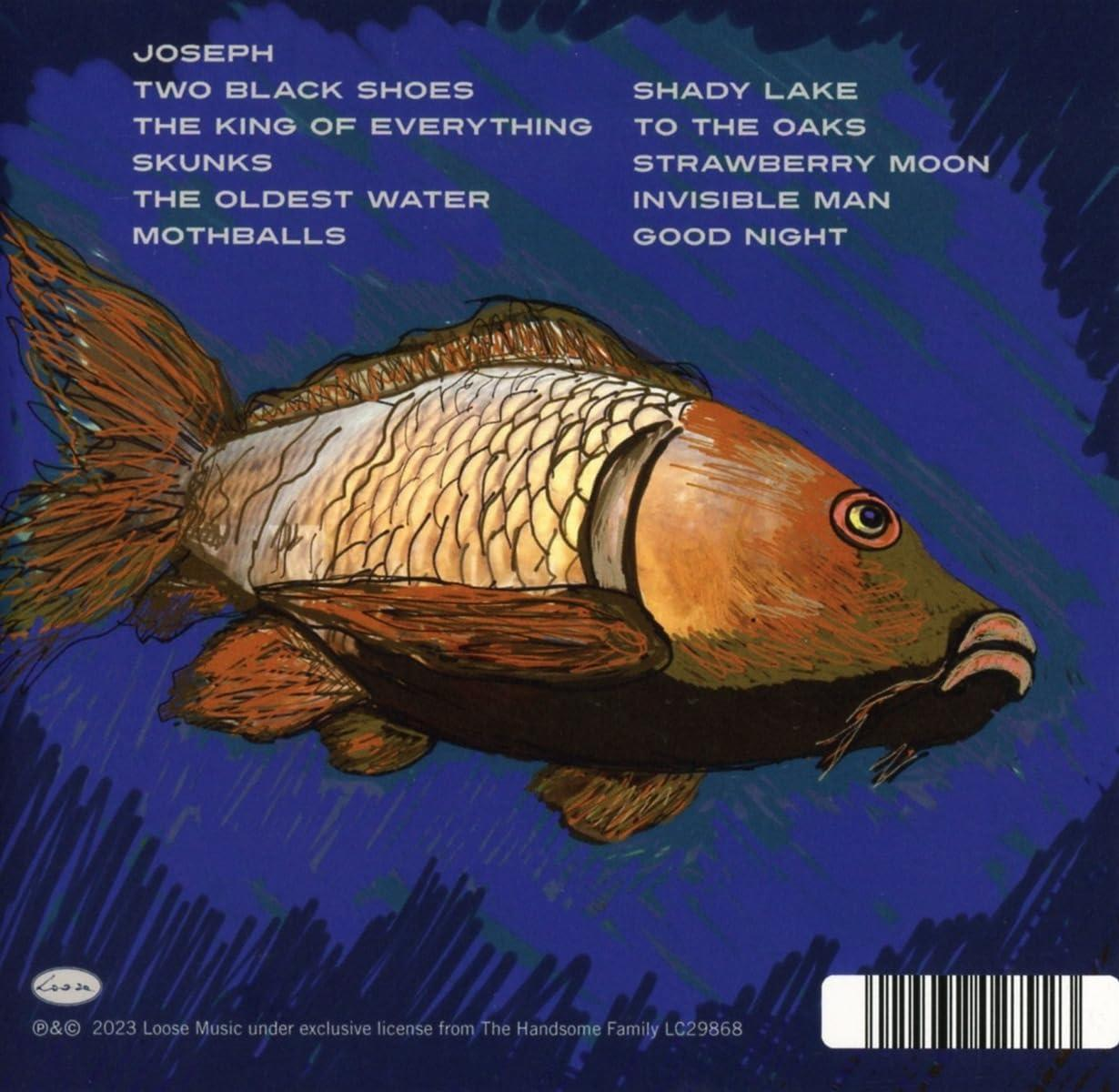 The Handsome Family - Hollow  - (CD)