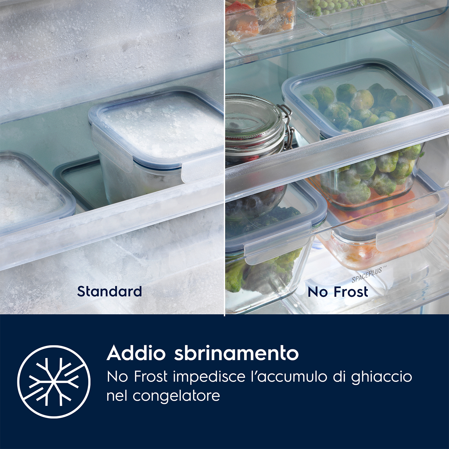 Confronto frigorifero: standard vs No Frost. No Frost previene l'accumulo di ghiaccio nel congelatore. Contenitori all'interno.