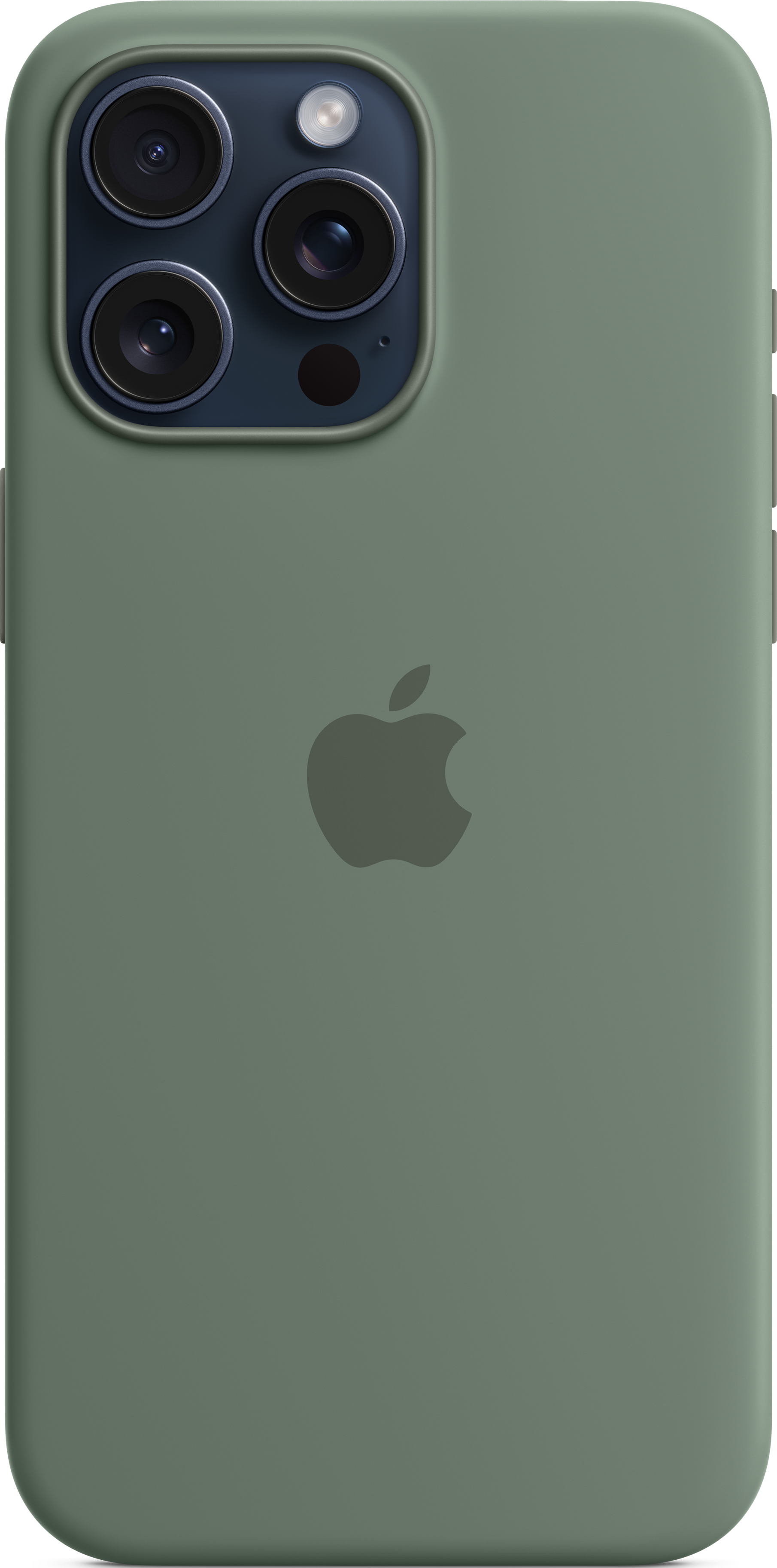 APPLE Étui en silicone avec MagSafe, Coque arrière, Apple, iPhone 15 Pro Max, Cyprès