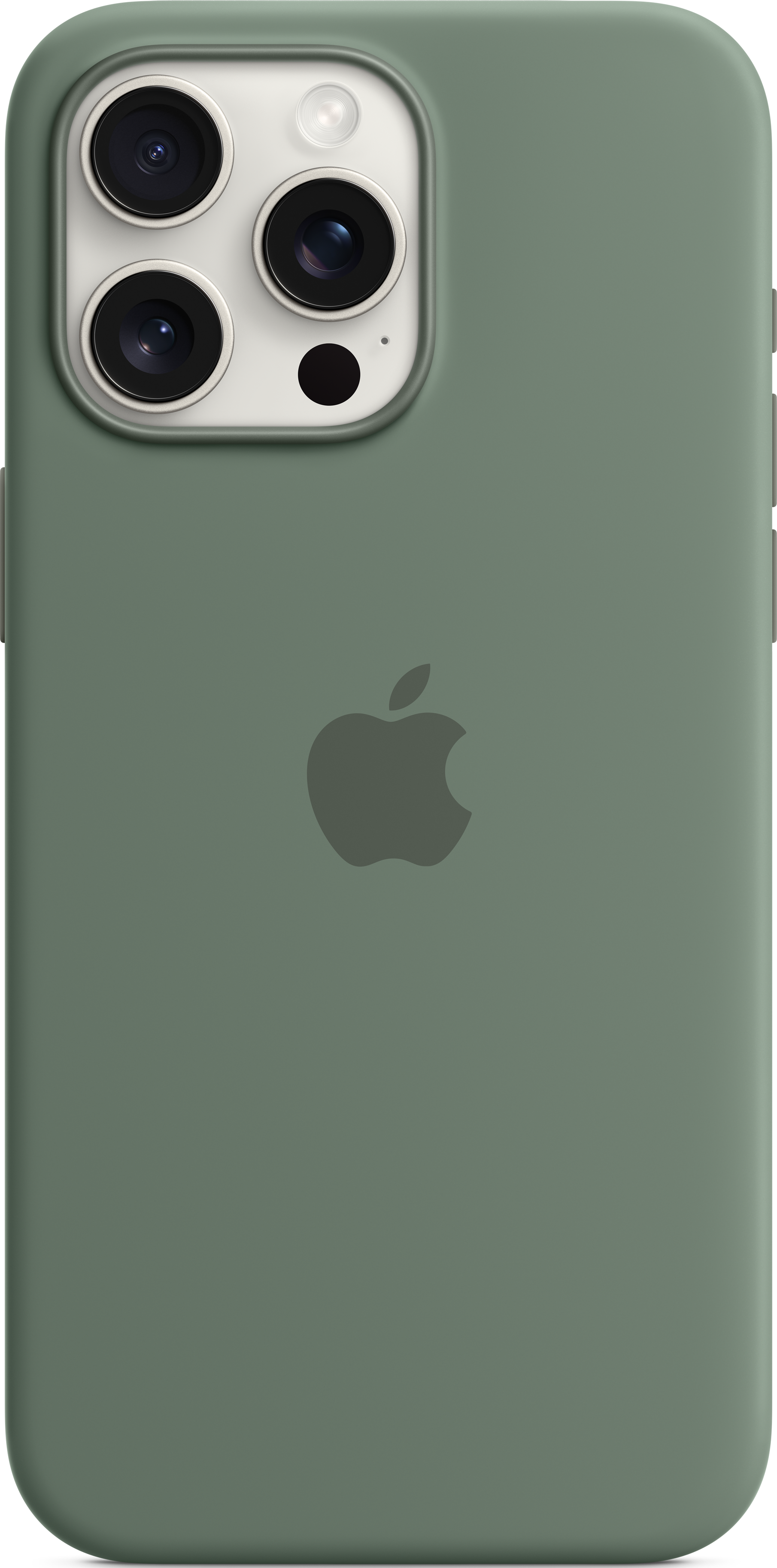 APPLE Étui en silicone avec MagSafe, Coque arrière, Apple, iPhone 15 Pro Max, Cyprès