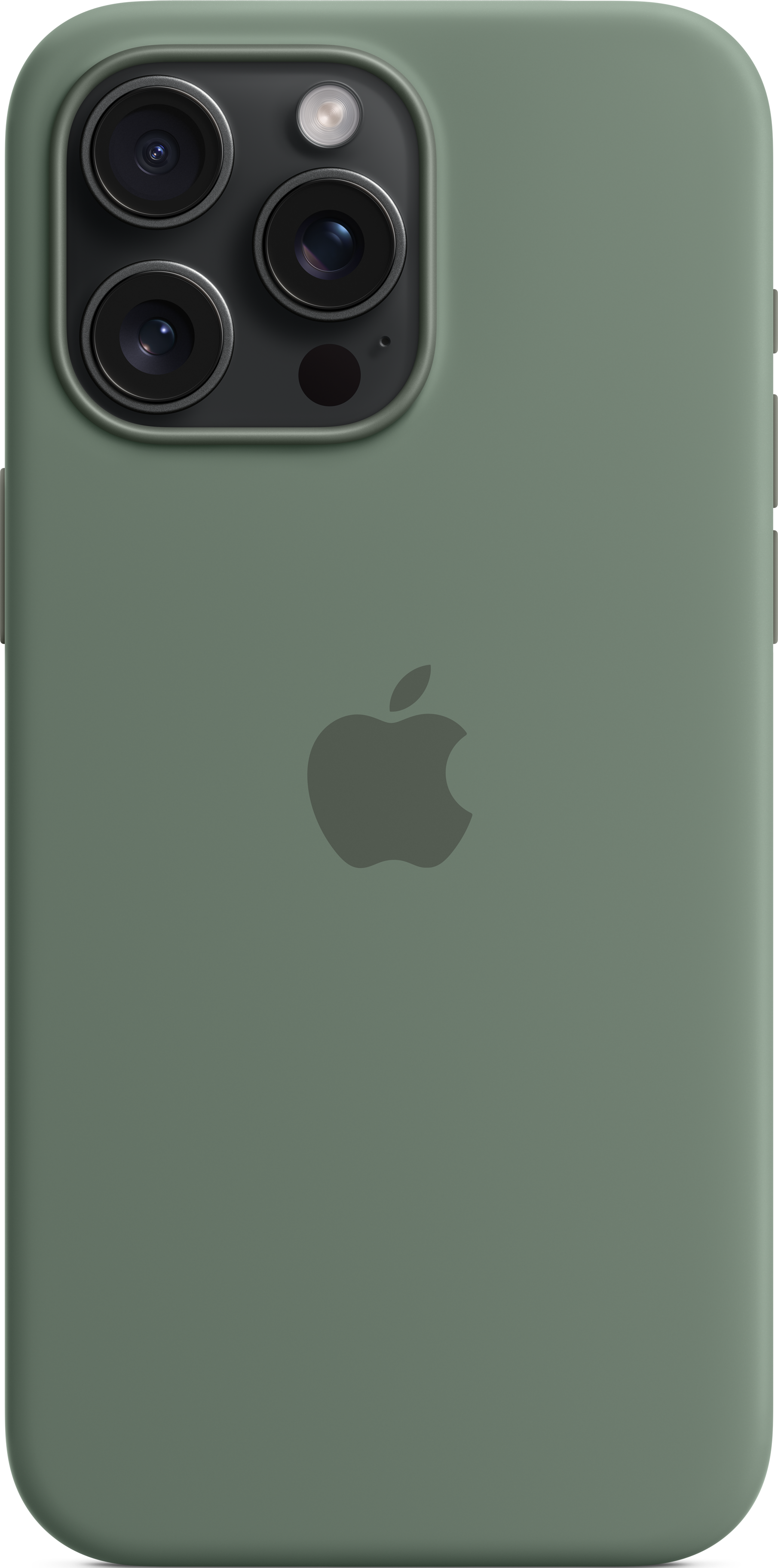 APPLE Étui en silicone avec MagSafe, Coque arrière, Apple, iPhone 15 Pro Max, Cyprès