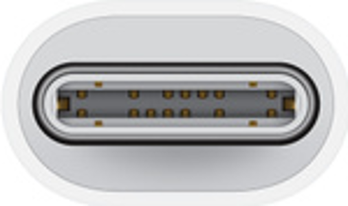 Nahaufnahme eines weißen USB-C-Anschlusses, der die internen Stifte zeigt.