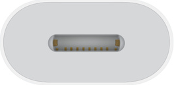 Nahaufnahme eines weißen USB-C-Anschlusses, der die inneren Pins und den ovalen Anschluss zeigt.
