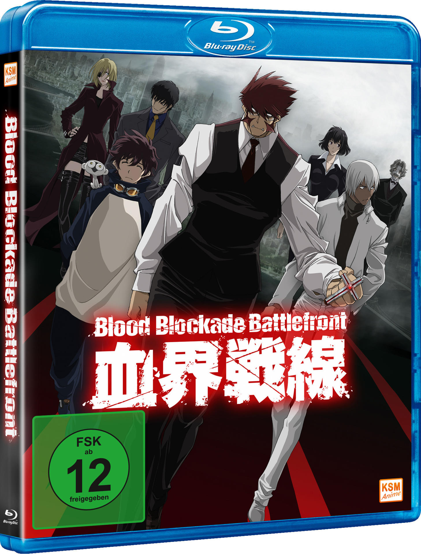 Blu-ray-Cover eines Animes. Zeigt eine Gruppe von Charakteren in verschiedenen Posen mit japanischer Schrift.