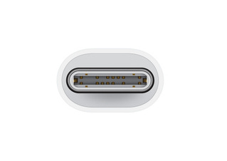 A white USB-C port, seen from above, with gold-colored pins inside and a light gray surround.