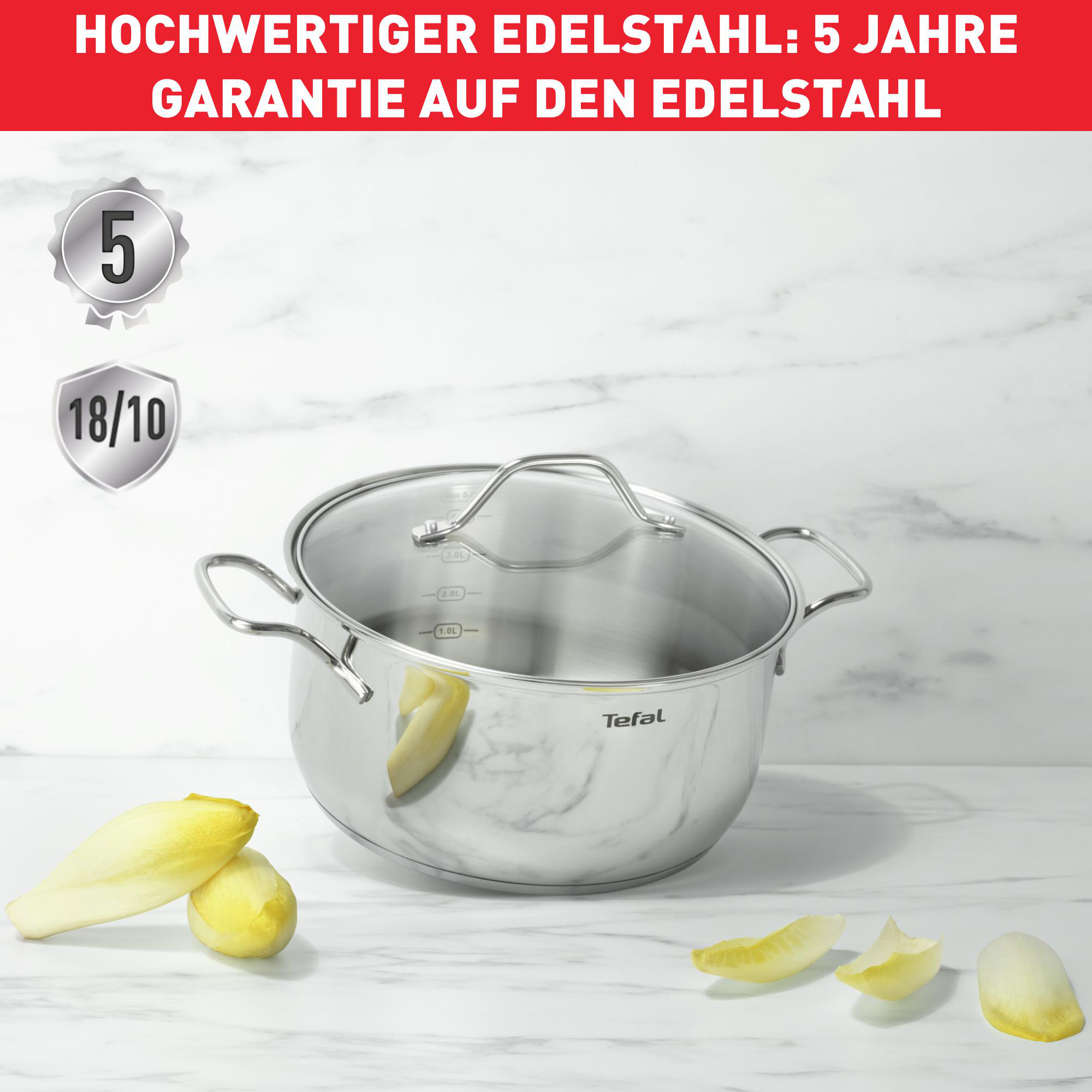 Ein Edelstahlkochtopf mit Glasdeckel. Rund um den Topf befinden sich Chicoréeblätter.
