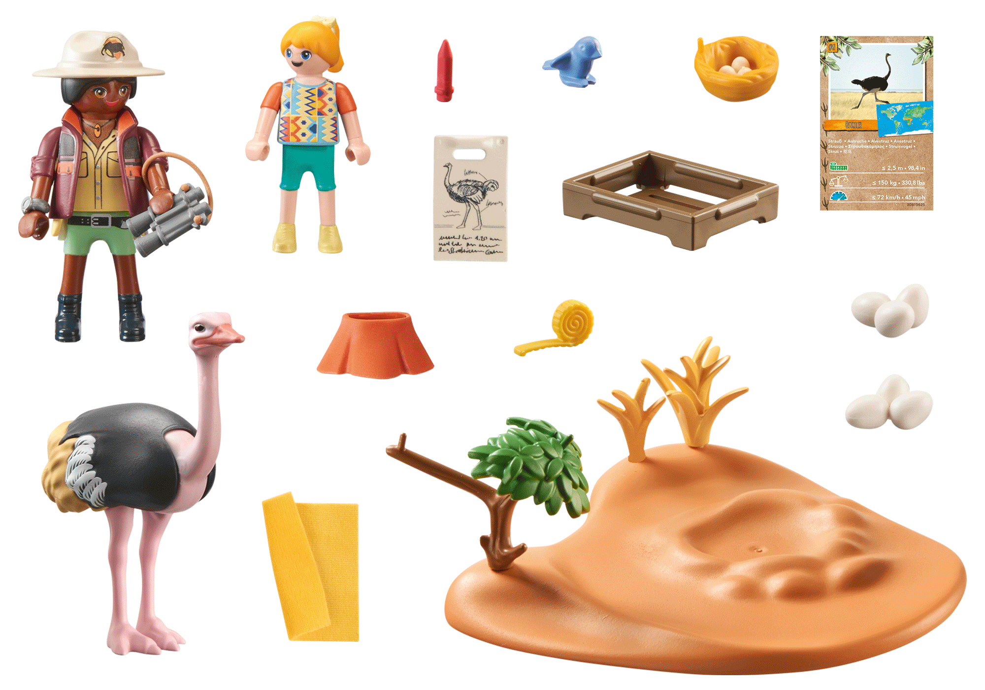 Playmobil Straußen-Set: Figuren, Strauß, Eier, Nest und Landschaft.