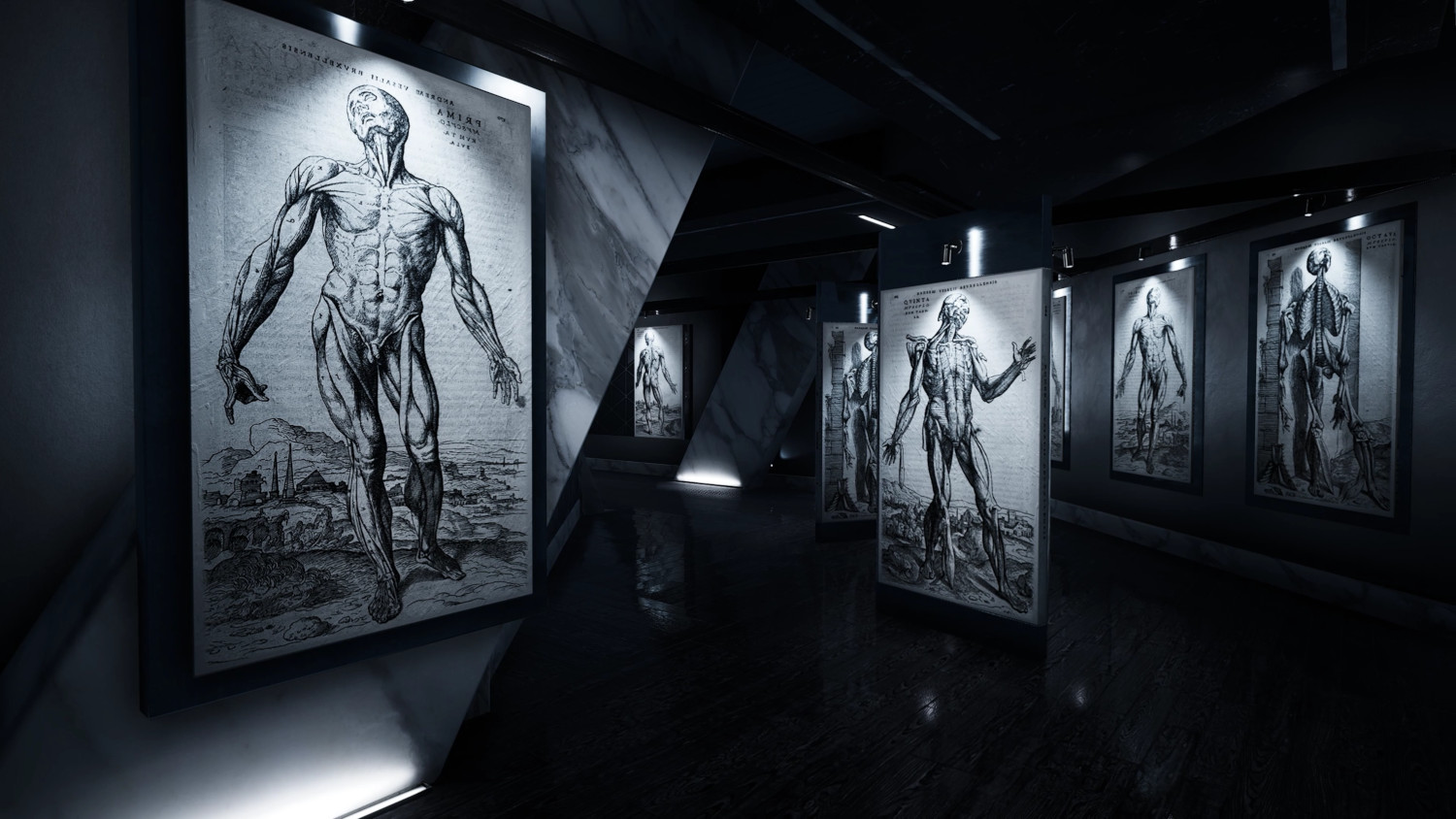 Une galerie d'art avec des dessins anatomiques exposés. La pièce est sombre avec des lumières vives sur les dessins.