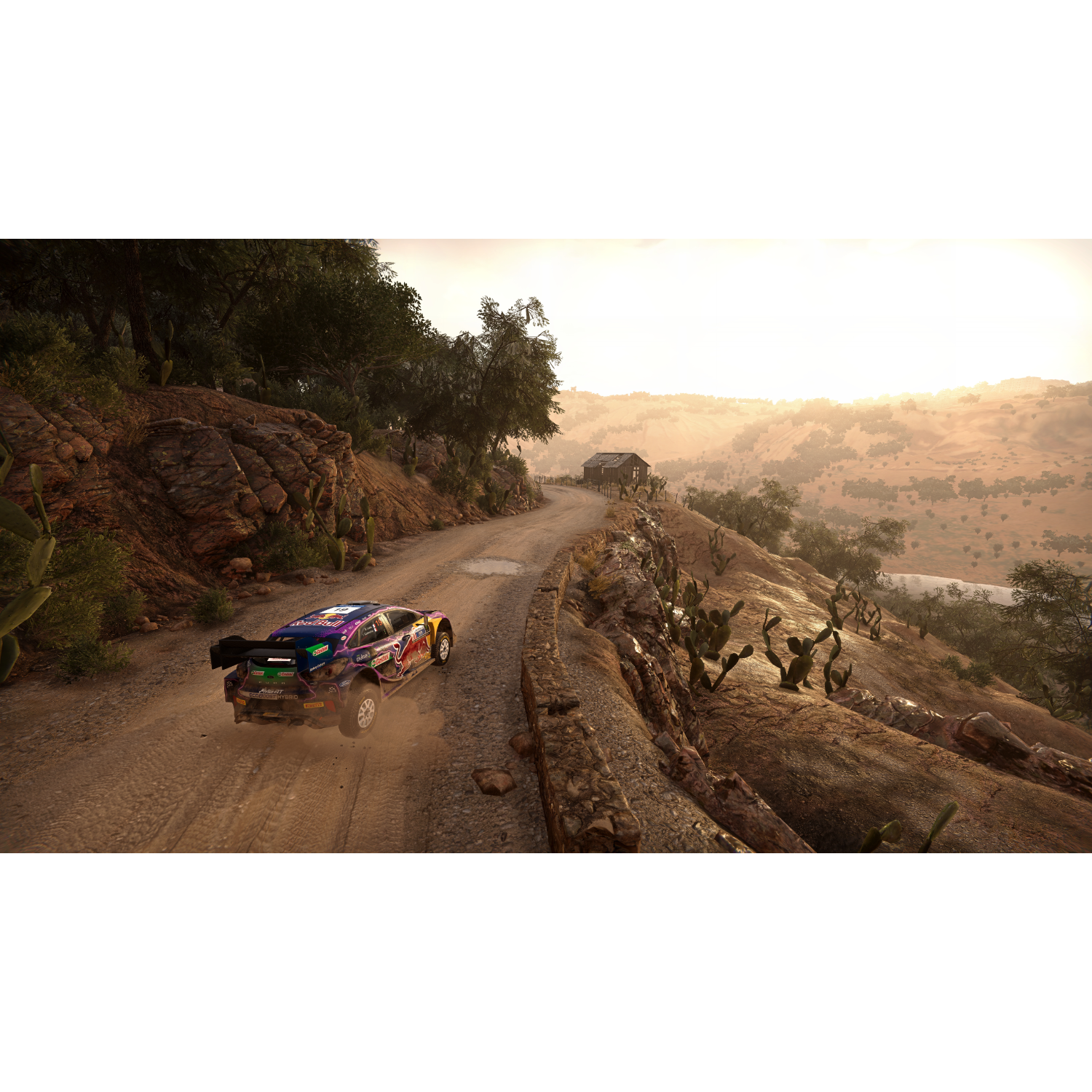 Raceauto op onverharde weg, woestijnlandschap. Bergen, cactussen, zonsondergang.