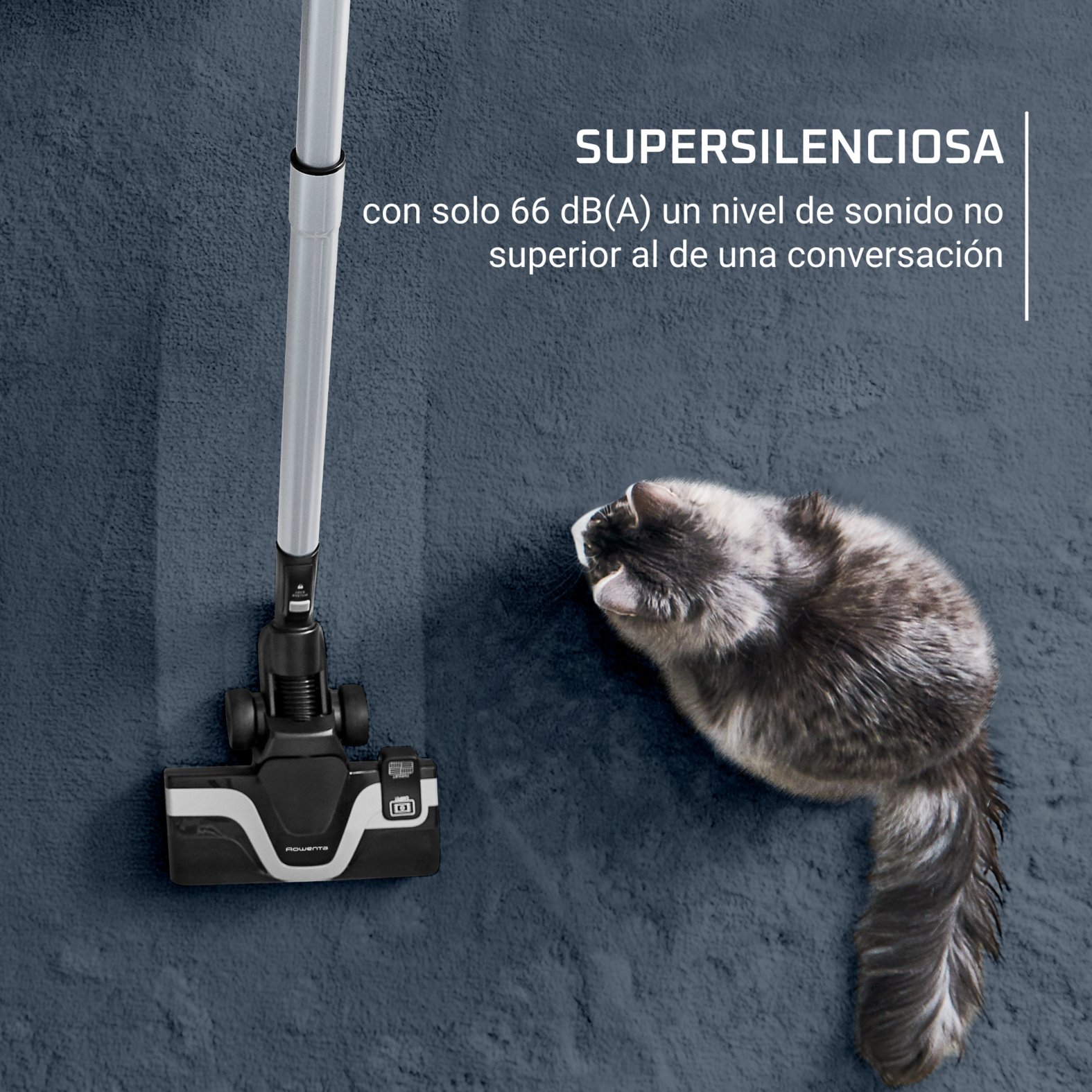 El cabezal de una aspiradora sobre una alfombra azul, un gato en la alfombra. Texto: Supersilencioso.