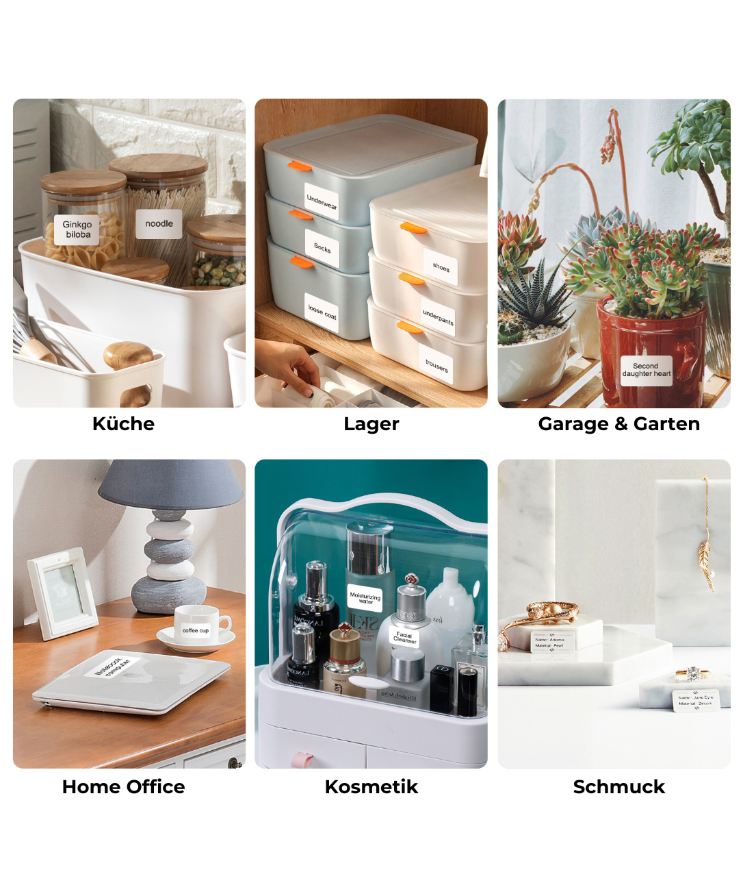 Vorratsgläser mit Ginkgo Biloba und Nudeln in Küche, sortierte Behälter, Pflanzen, Büromaterialien, Kosmetik und Schmuck.