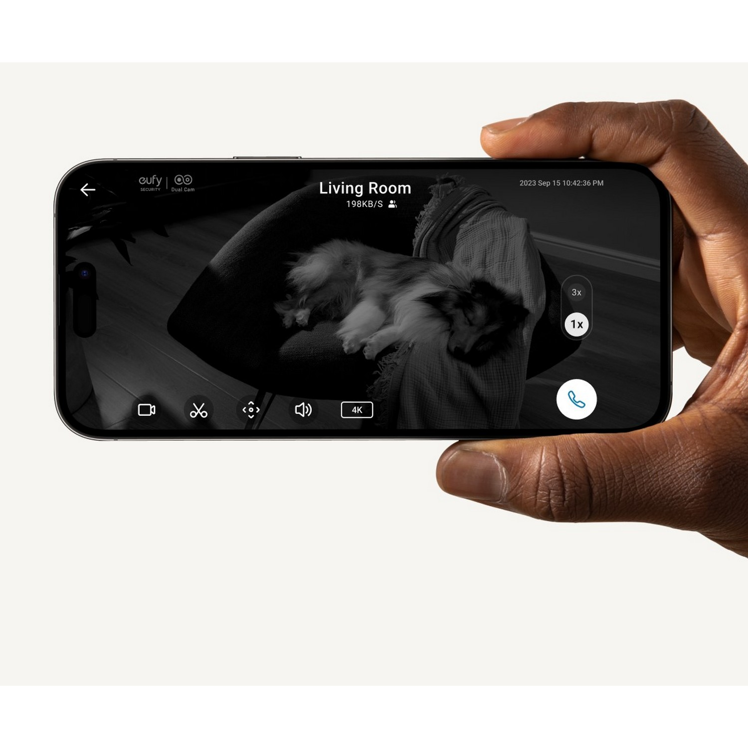 Une main tient un téléphone affichant le flux en direct d'une caméra de sécurité montrant un chien endormi.