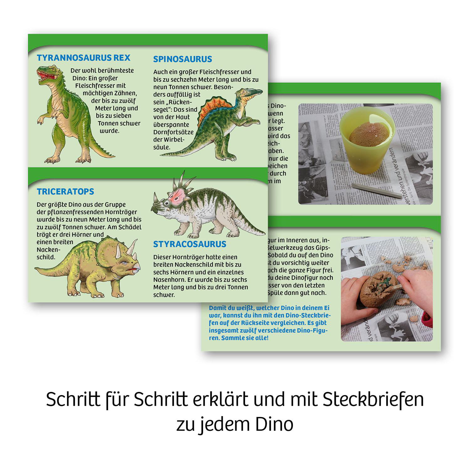 Lehrreiche Dinosaurier-Infos. Text und Illustrationen von Dinosauriern und eine Hand mit Ton.