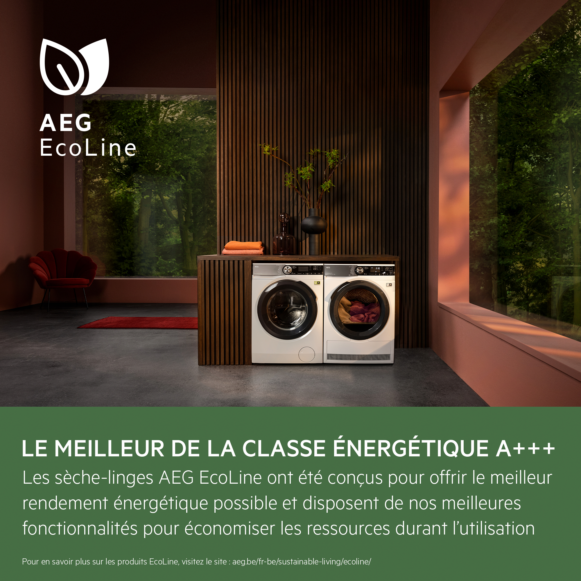Intérieur moderne avec deux machines à laver, un tapis rouge et une vue sur la fenêtre avec le logo AEG EcoLine.